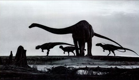 diplodocus-3.jpg
