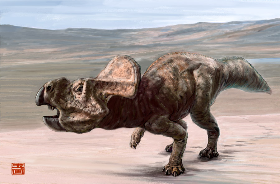 protoceratops_st_naturalist